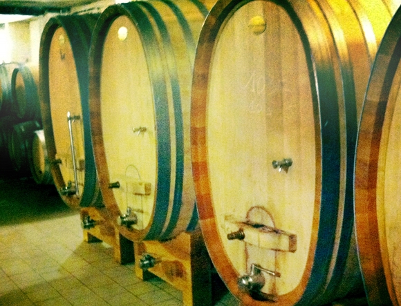 Blog vin - Domaine Camin Larredya - Jurançon - stockinger 1