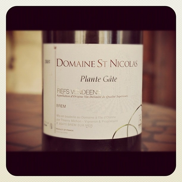 Blog vin - Domaine Saint Nicolas - Plante Gate - 2005 - Fiefs Vendéens - Loire - Rouge