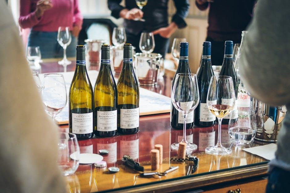 Aurelien Chatagnier Saint-Joseph 2009 : syrah du Rhone nord