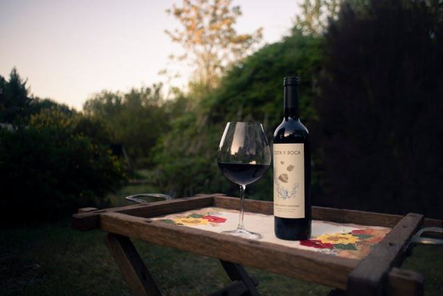 Part Davan 2010 du domaine Camin Larredya en Jurancon sec Part Davan 2010 du domaine Camin Larredya en Jurancon sec