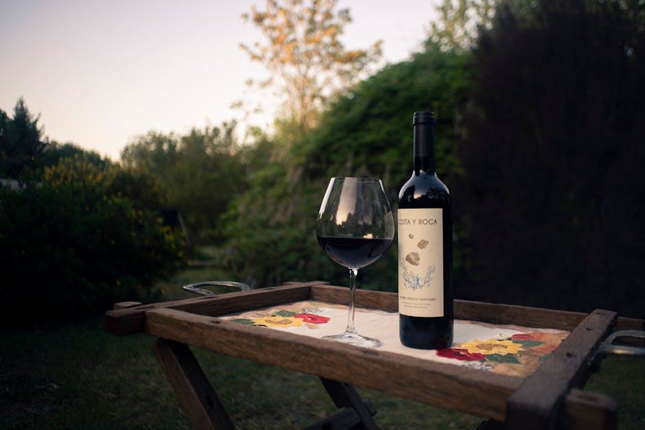 Rijckaert Vignes des Voises 2005, Cotes du Jura blanc