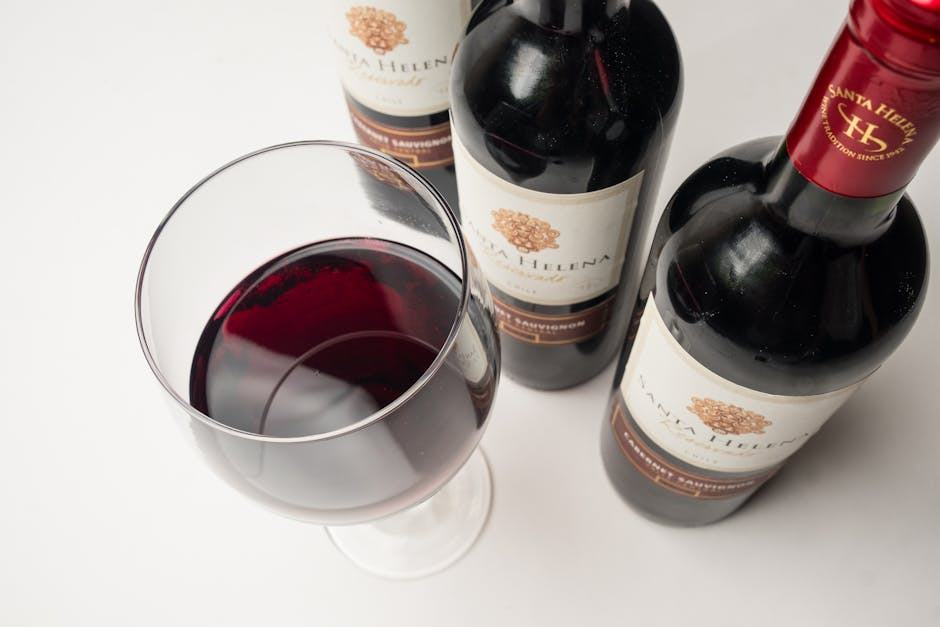 La cave de César rouge 2005, domaine Roche Audran bio