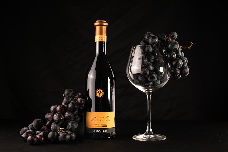 Duché d Uzès : vins du Gard entre Cévennes et garrigue