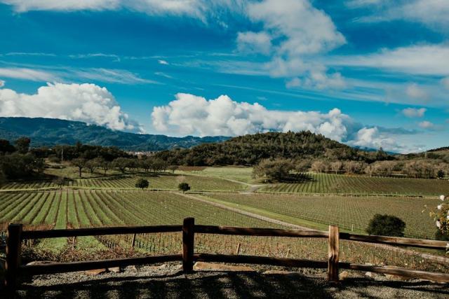 Portrait du Domaine Bertillon Pere et Fils, Nantoux