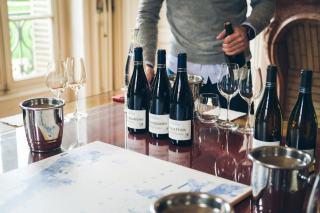 Domaine Cluzeaud Jean-Claude et Fils : pinot noir de Volnay