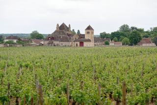 Domaine Cornu : Hautes-Côtes de Beaune à Magny-les-Villers