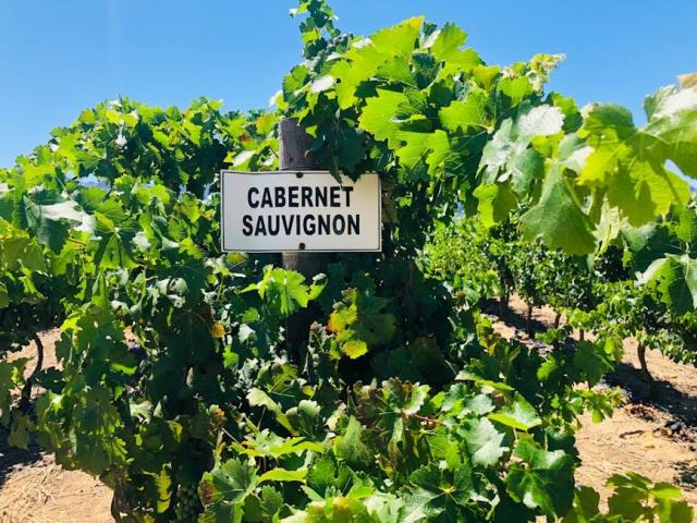 Visite du Domaine de la Cozanne a Cormot-Vauchignon