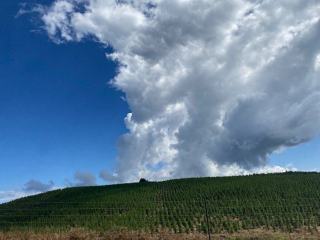 Domaine Dubuet David : Monthélie entre Volnay et Meursault