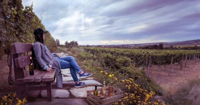 Domaine Fery Jean et Fils, vigneron en Bourgogne a Echevronne