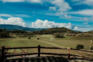 Domaine Girard Jean-Jacques : Savigny-lès-Beaune sur deux versants