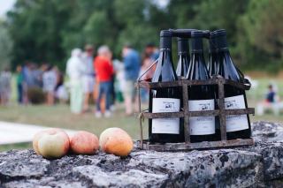Domaine Serrigny Francine et Marie Laure : Savigny-lès-Beaune