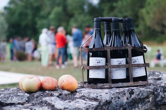 Visite du Domaine Serrigny Francine et Marie Laure a Savigny-les-Beaune