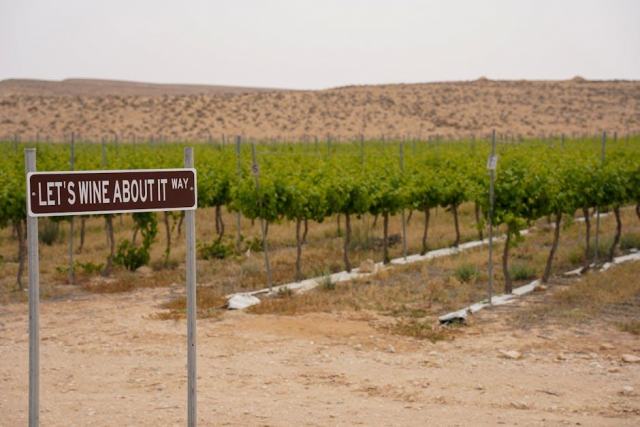 Portrait du La Table de Pierre Bouree, Gevrey-Chambertin