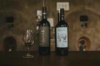 Maison Cosnier Antonin : Pernand-Vergelesses et Corton en Bourgogne