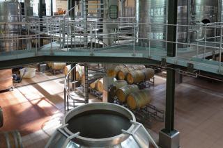 Bordeaux : guide des appellations du plus grand vignoble français