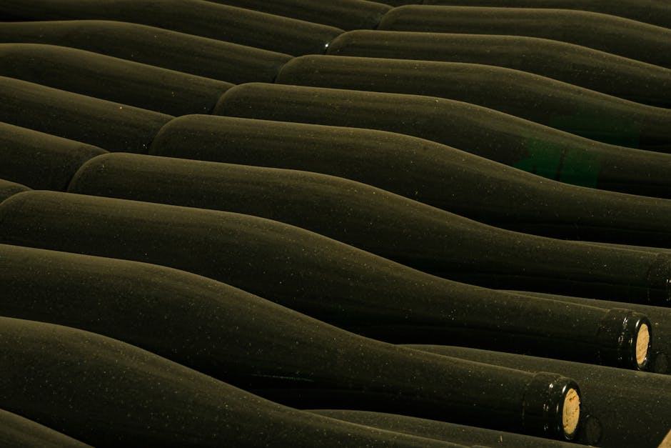 Richard Leroy, chenin blanc de haute precision en Anjou Richard Leroy, chenin blanc de haute precision en Anjou