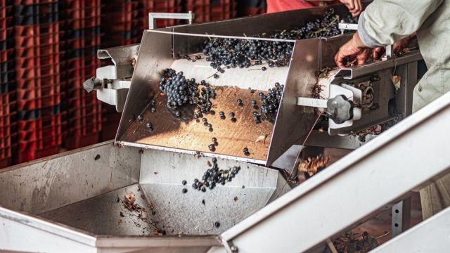 Vin nature : ce que le terme recouvre vraiment