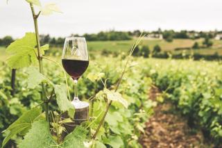 Abel Mendoza : le vigneron riojano hors norme