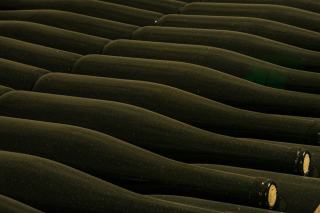 Bodega Marques de Riscal, visite et dégustation en Rioja