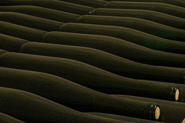 Visite de la bodega Marques de Riscal a Elciego, Rioja Alavesa Visite de la bodega Marques de Riscal a Elciego, Rioja Alavesa