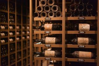 Bodegas Darién : tempranillo de Rioja Alavesa en visite