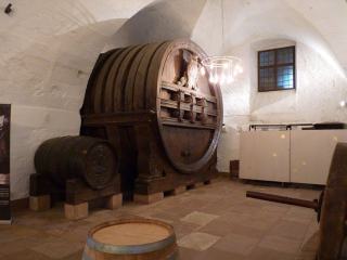 Camp Galhan : domaine et vins nature du Duche d'Uzès