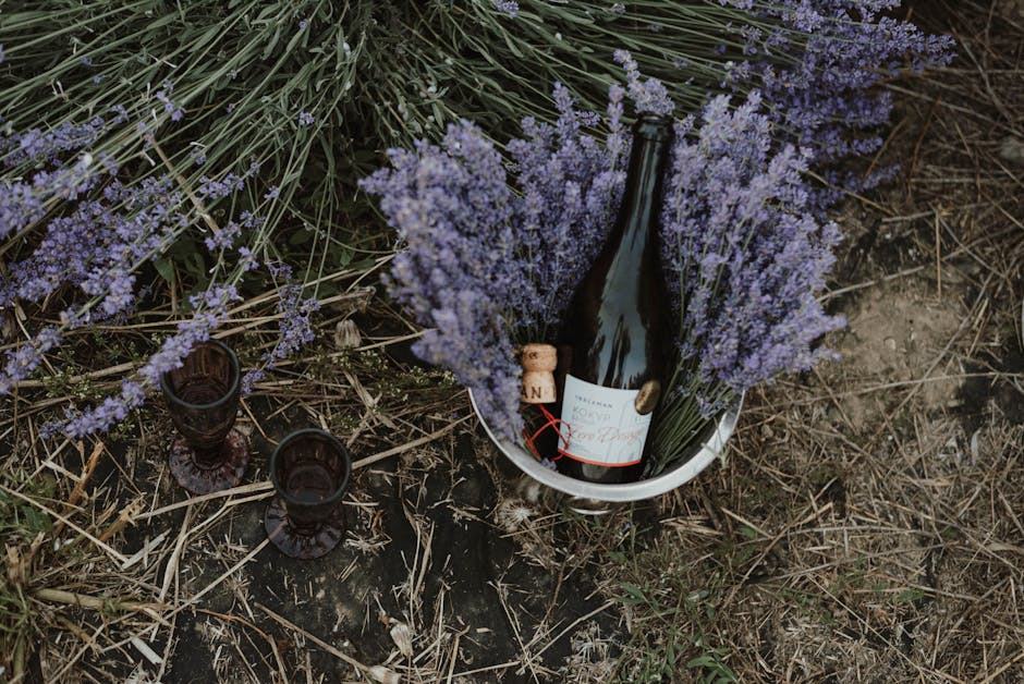 Meyer-Fonne Wineck-Schlossberg Le Samson 2008, grand cru Alsace