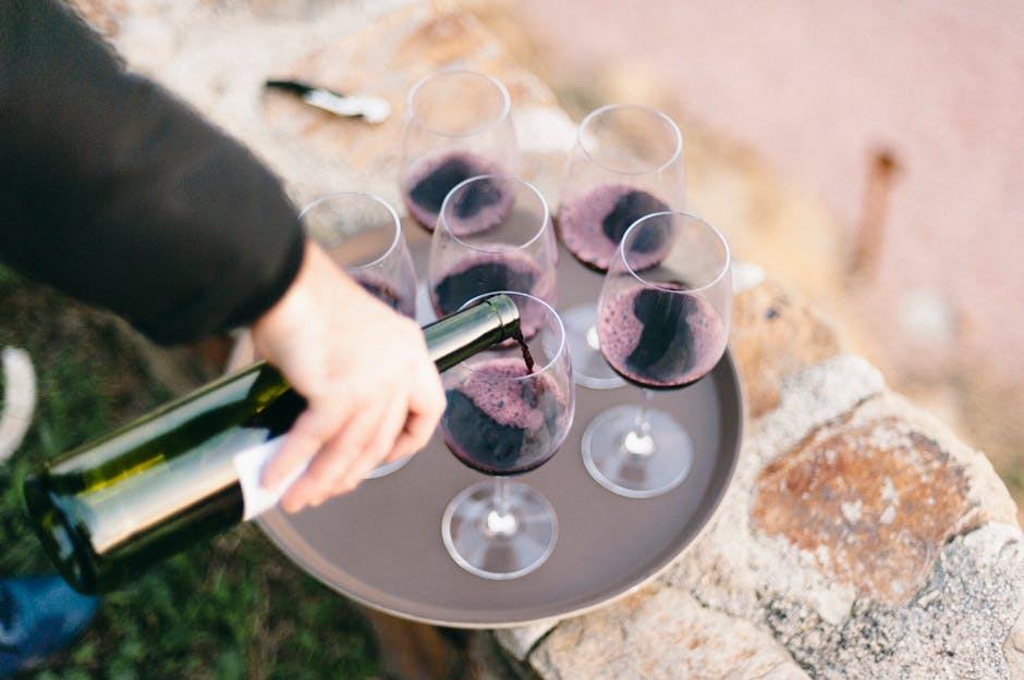 Domaine Alliet Coteaux du Noiré 2006, grand vin de Chinon