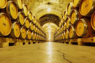 Domaine Giboulot Patrick : Hautes-Côtes de Beaune à Chaux