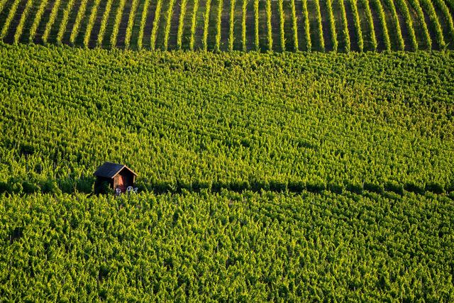 Domaine Jacob Mauclair, vins d'altitude à Échevronne en Bourgogne Domaine Jacob Mauclair, vins d'altitude à Échevronne en Bourgogne