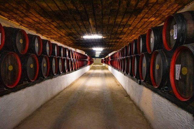 Domaine Lebreuil Pierre et Jean-Baptiste, le pinot noir de Savigny-lès-Beaune Domaine Lebreuil Pierre et Jean-Baptiste, le pinot noir de Savigny-lès-Beaune