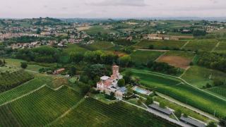 Domaine Legou Guillaume : pinot noir de Gilly-lès-Cîteaux