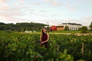 Domaine Meuneveaux : Aloxe-Corton et Corton grand cru en Bourgogne
