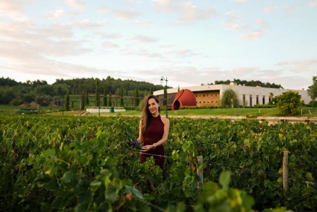 Domaine Meuneveaux, pinot noir et chardonnay au pied de Corton Domaine Meuneveaux, pinot noir et chardonnay au pied de Corton