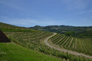 Domaine Mongeard-Mugneret : grands crus de Vosne-Romanée