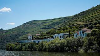 Domaine Voarick Michel : Aloxe-Corton et Corton grand cru