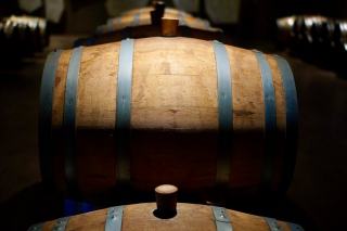 Maison Moillard-Grivot : chardonnay de Meursault et Côte d'Or