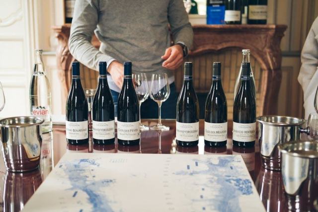 Dégustations, domaines viticoles et accords gourmands