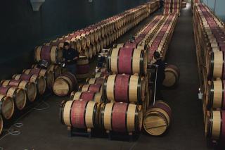 Pomerol : merlot sur argile bleue, l'appellation d'exception