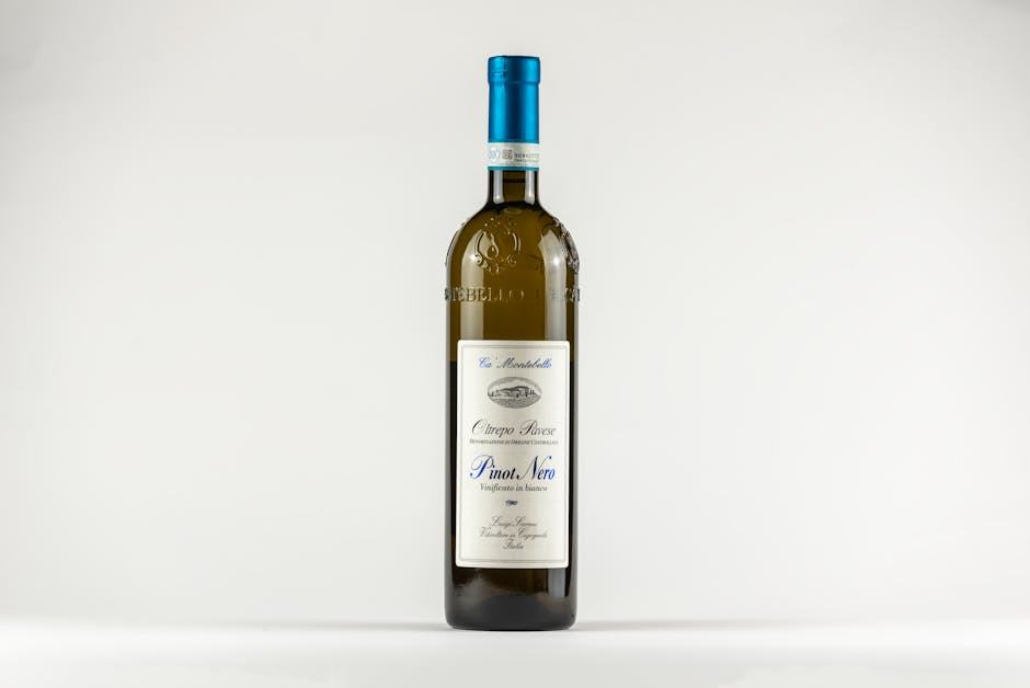 Raveneau Chablis : le domaine mythique de Bourgogne