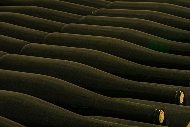 Richard Leroy, chenin blanc de haute précision en Anjou Richard Leroy, chenin blanc de haute précision en Anjou