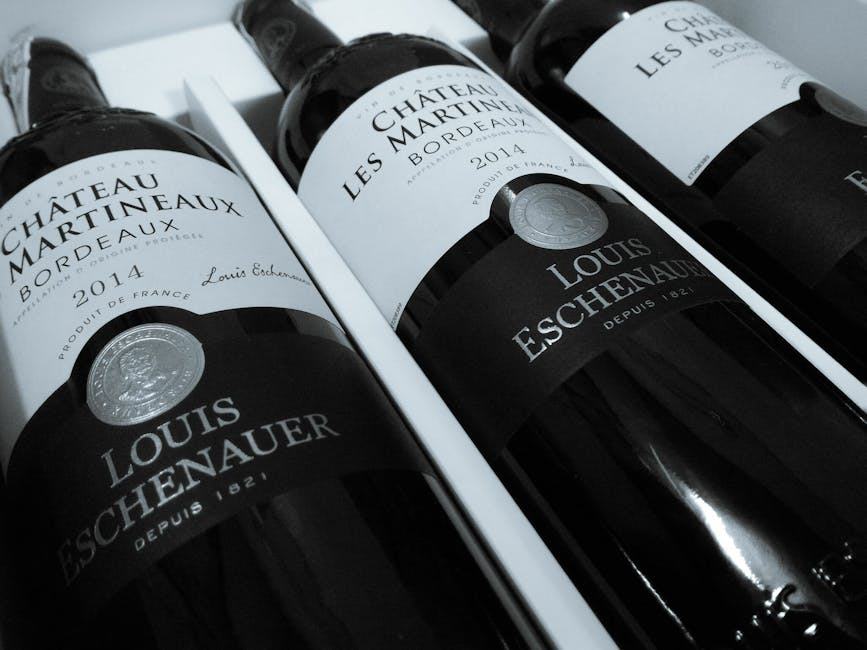 Saint-Nicolas-de-Bourgueil : Cabernet Franc ligérien